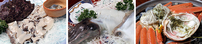 あわび、あおりいか、越前ガニの写真