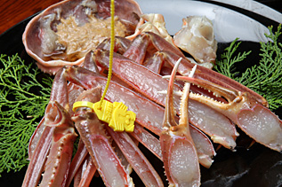 越前ガニの鍋