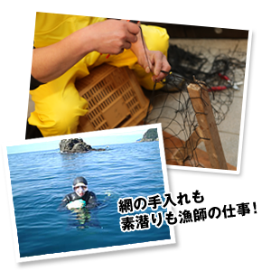 網の手入れ、素潜り